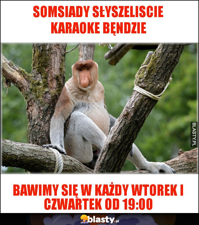 SOMSIADY SŁYSZELISCIE KARAOKE BĘNDZIE