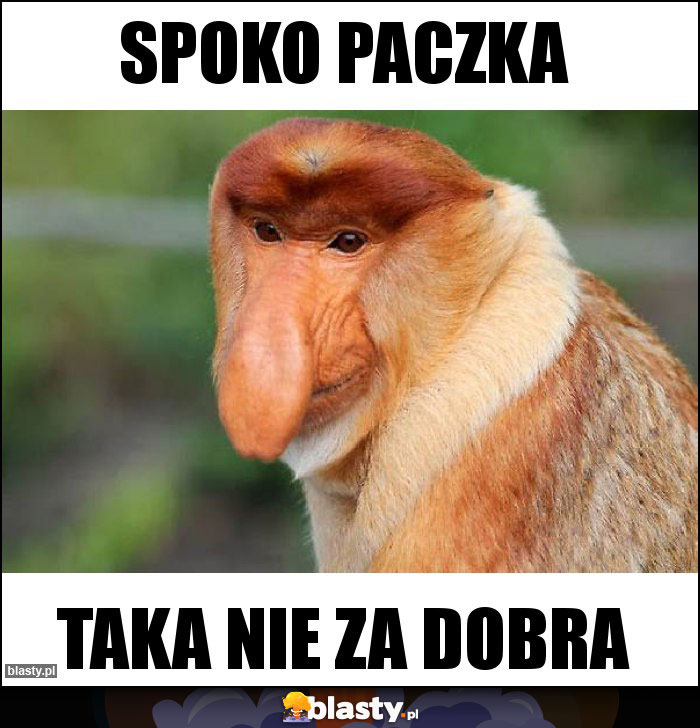 Spoko paczka