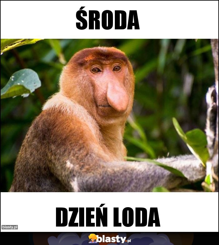 Środa