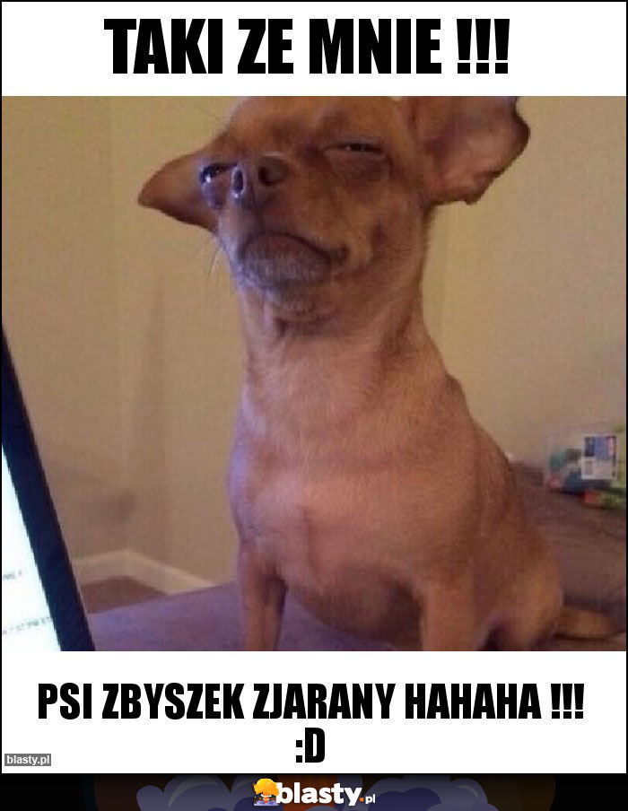 taki ze mnie !!!