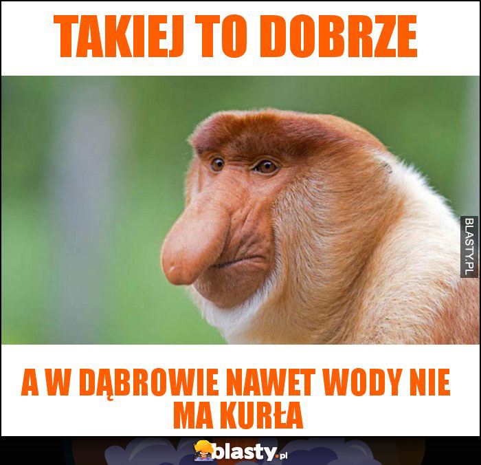 takiej to dobrze