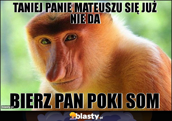 Taniej Panie Mateuszu się już nie da