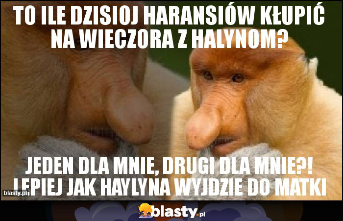 TO ILE DZISIOJ HARANSIÓW KŁUPIĆ NA WIECZORA Z HALYNOM?