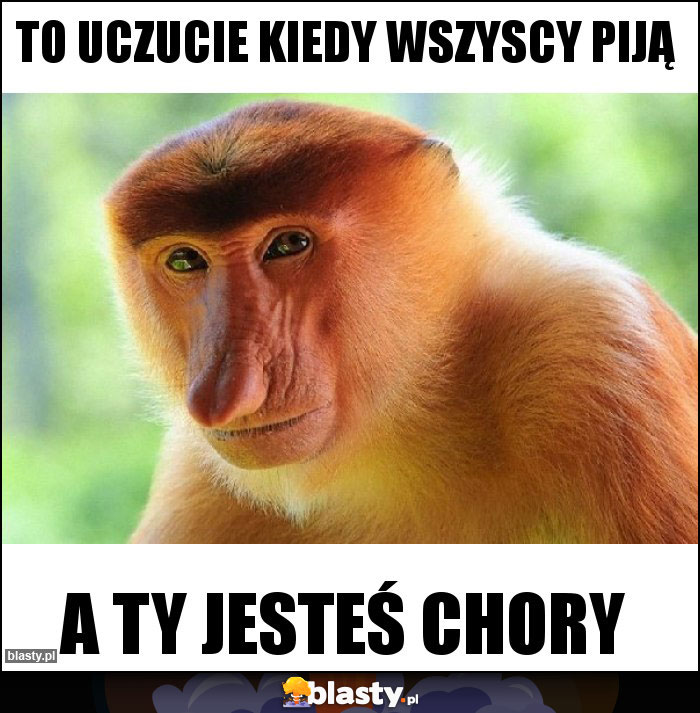 To uczucie kiedy wszyscy piją