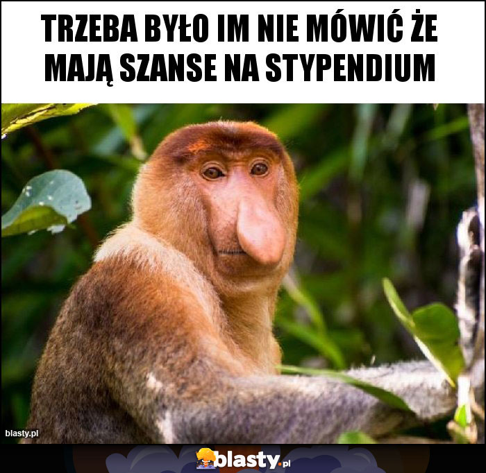 Trzeba było im nie mówić że mają szanse na stypendium