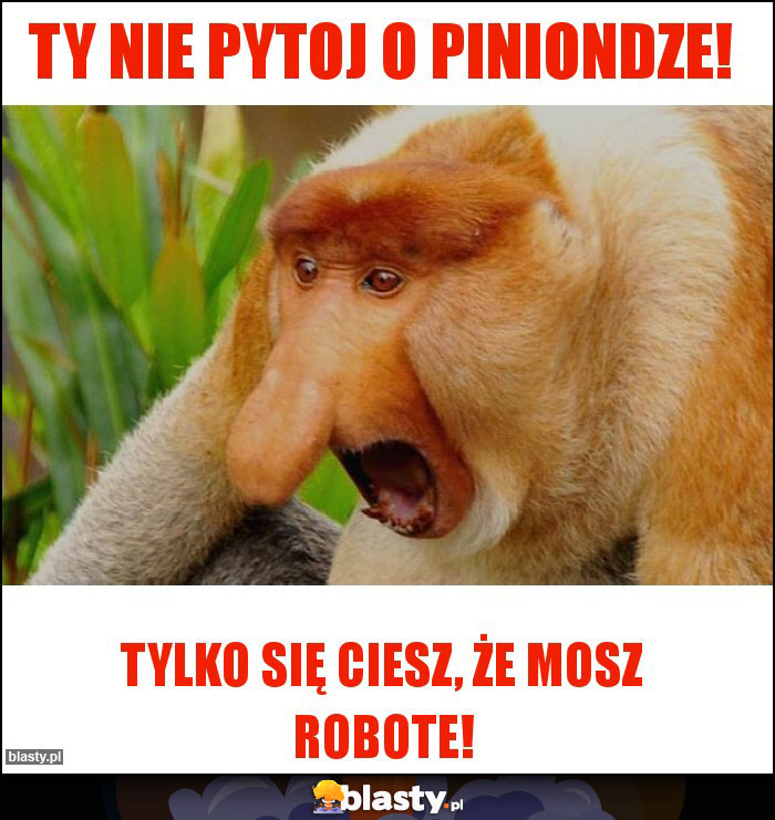 Ty nie pytoj o piniondze!