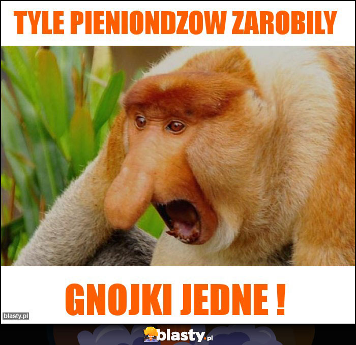 Tyle Pieniondzow zarobily