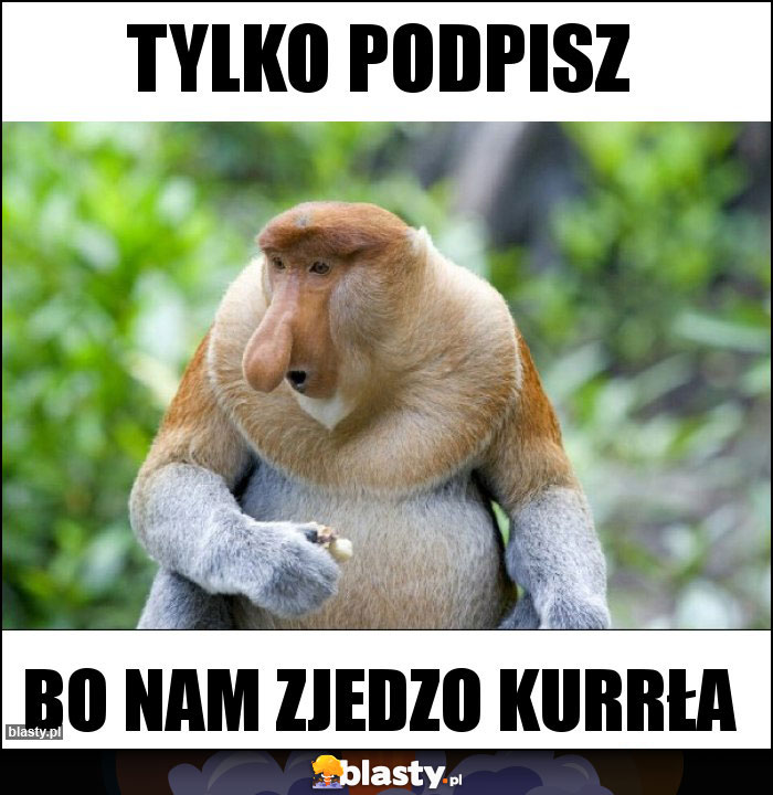 Tylko podpisz