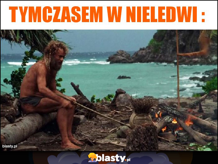 Tymczasem w Nieledwi :