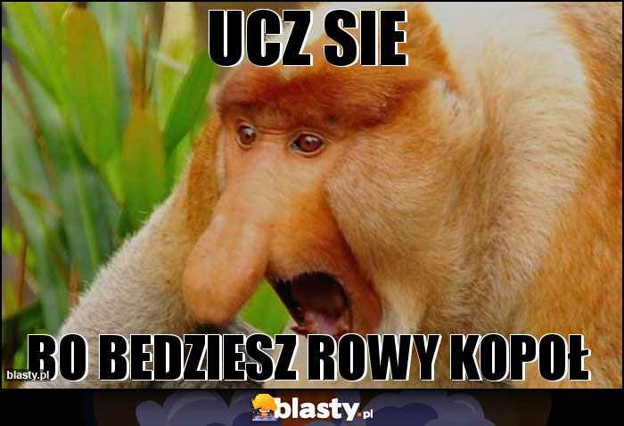 ucz sie