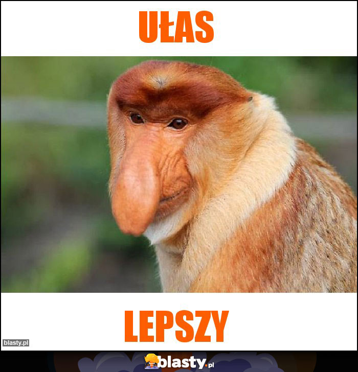 ułas