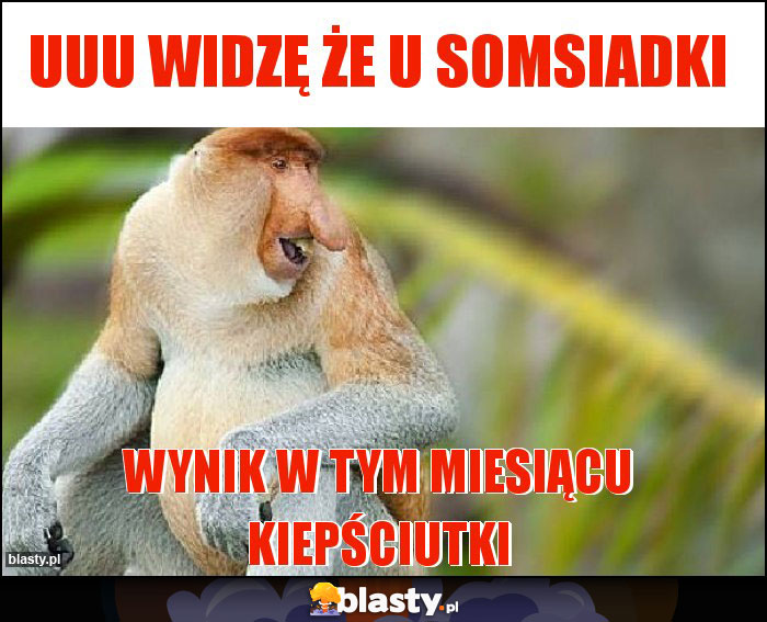 uuu widzę że u somsiadki