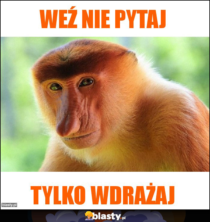 WEŹ NIE PYTAJ