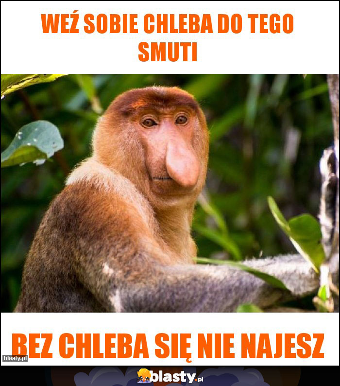 Weź sobie chleba do tego smuti