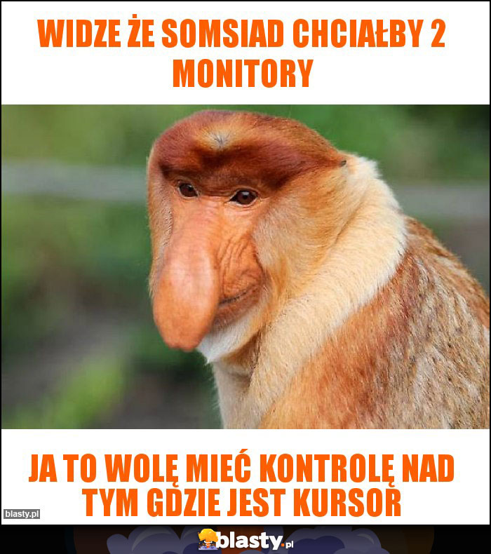 Widze że somsiad chciałby 2 monitory