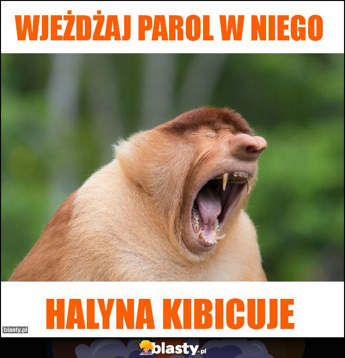 Wjeżdżaj parol w niego