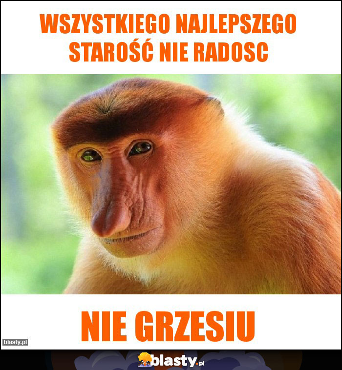 Wszystkiego najlepszego starość nie radosc