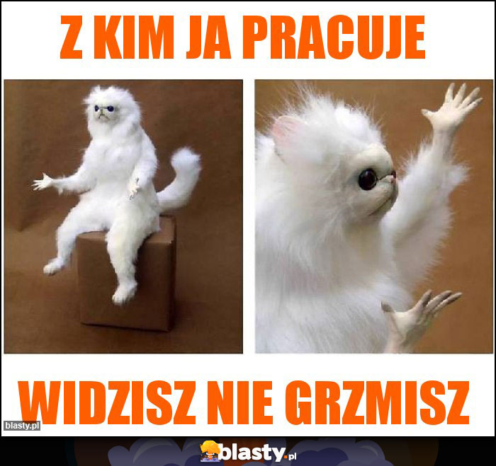 Z kim ja pracuje