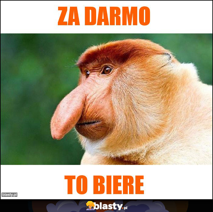 za darmo