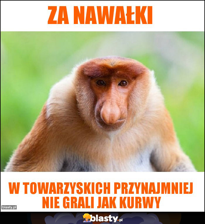 Za Nawałki