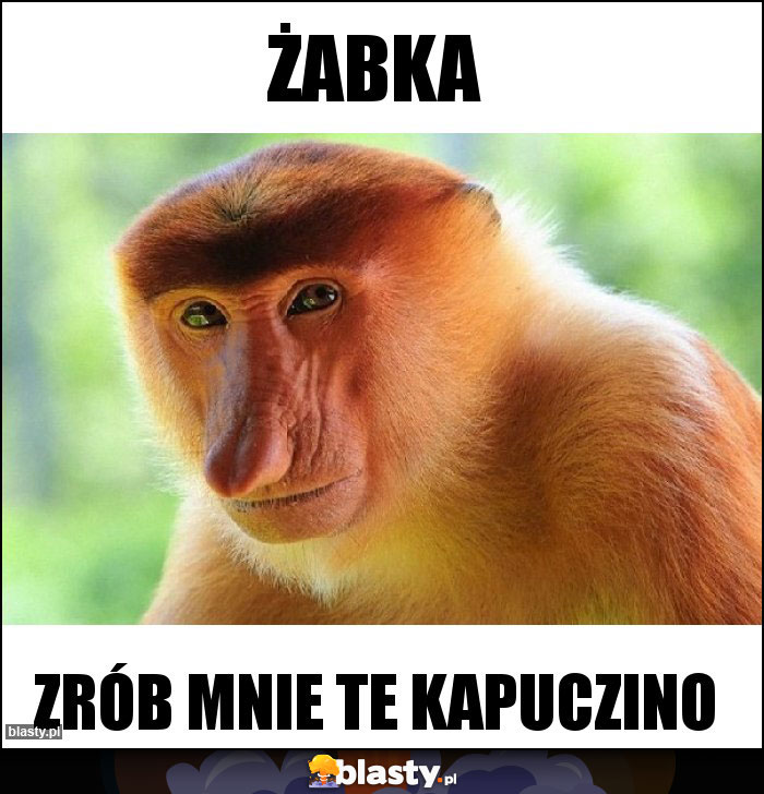 Żabka