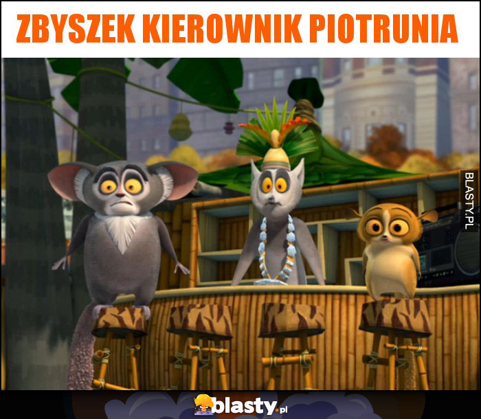 Zbyszek kierownik piotrunia