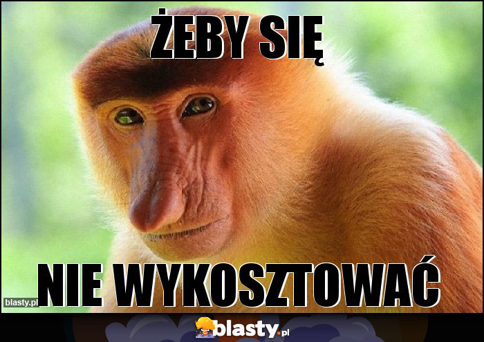 Żeby się