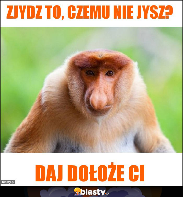 Zjydz to, czemu nie jysz?