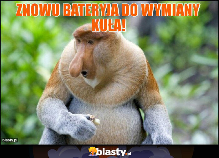 Znowu bateryja do wymiany kuła!