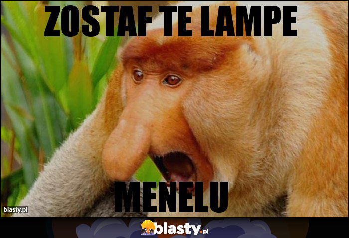 zostaf te lampe