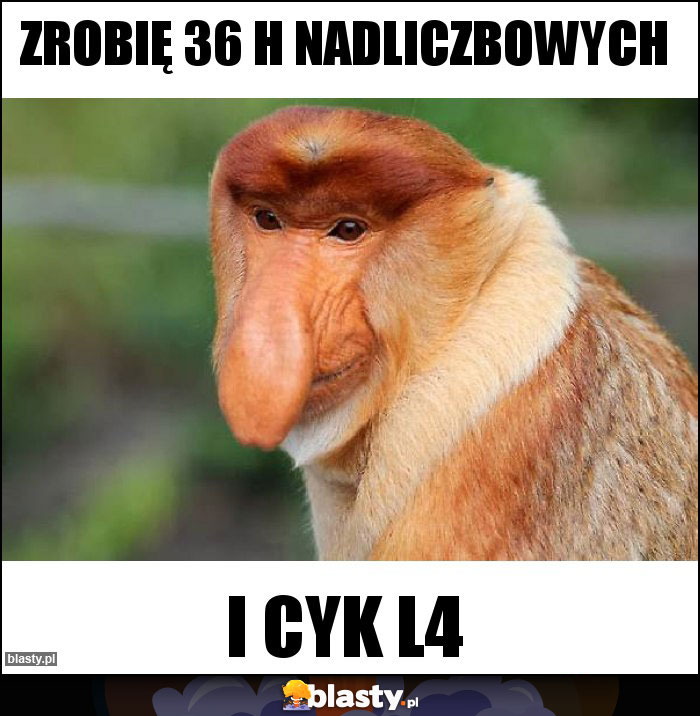 Zrobię 36 h nadliczbowych