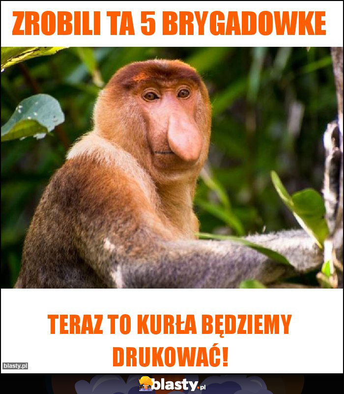 Zrobili ta 5 brygadowke