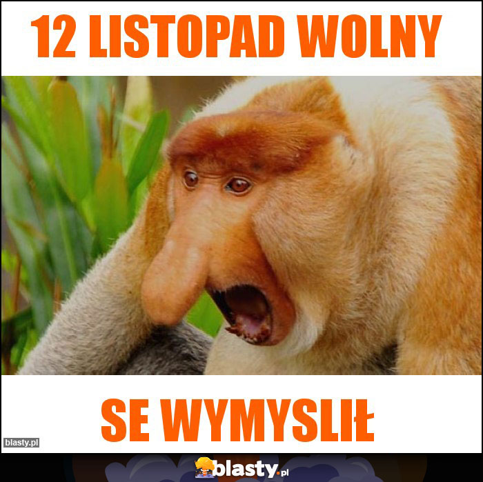 12 listopad wolny