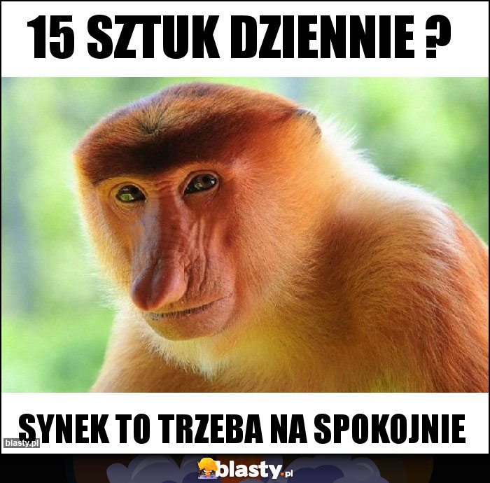 15 sztuk dziennie ?