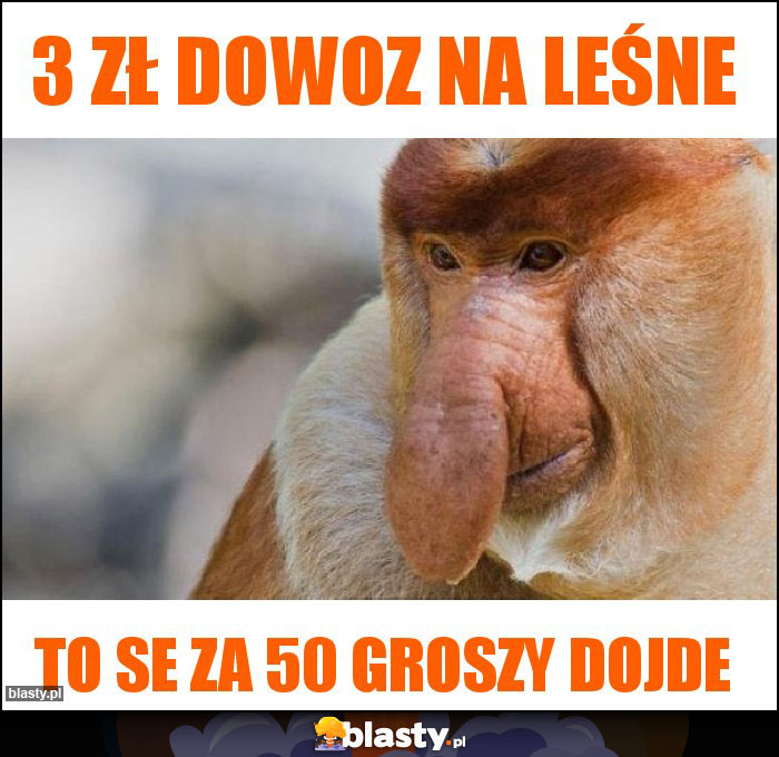 3 zł dowoz na Leśne