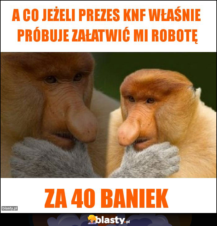 a co jeżeli prezes knf właśnie próbuje załatwić mi robotę