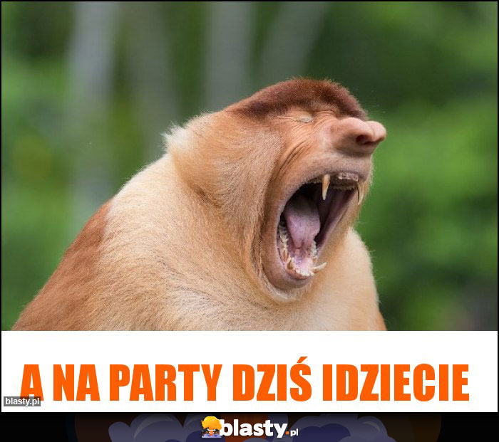 A na party dziś idziecie