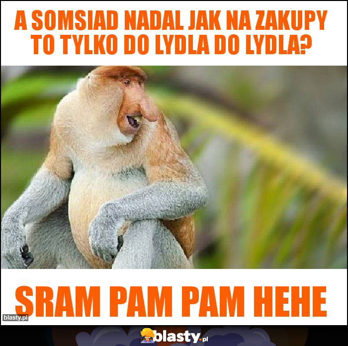 A somsiad nadal jak na zakupy to tylko do Lydla do lydla?