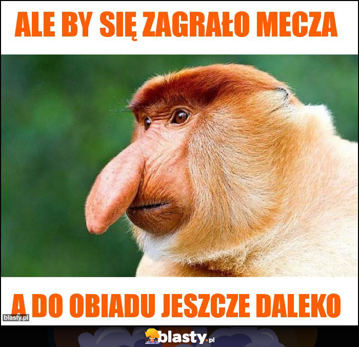 Ale by się zagrało mecza