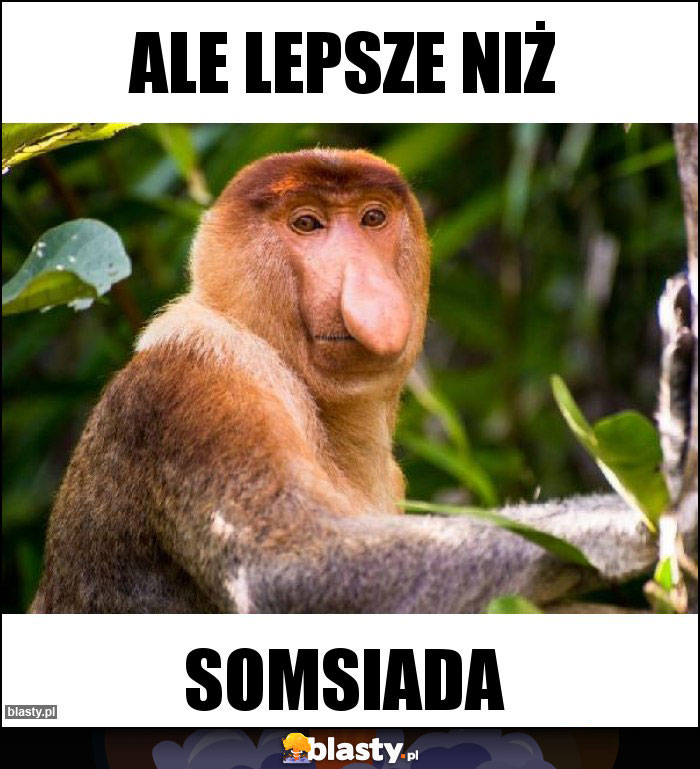 Ale lepsze niż