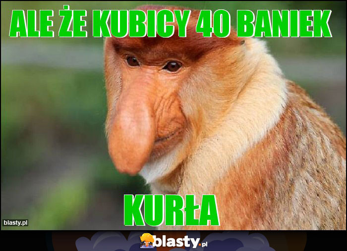 Ale że KUBICY 40 baniek