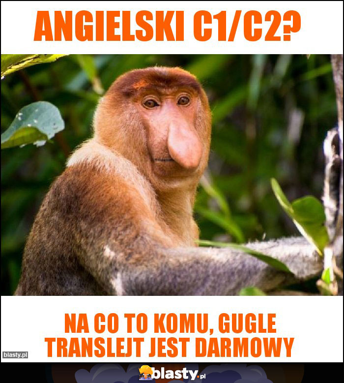 Angielski C1/C2?