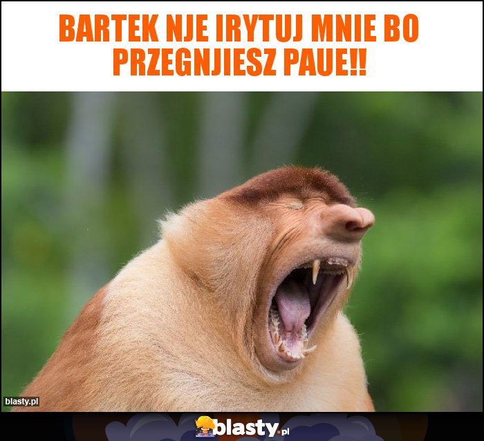 Bartek nje irytuj mnie bo przegnjiesz paue!!