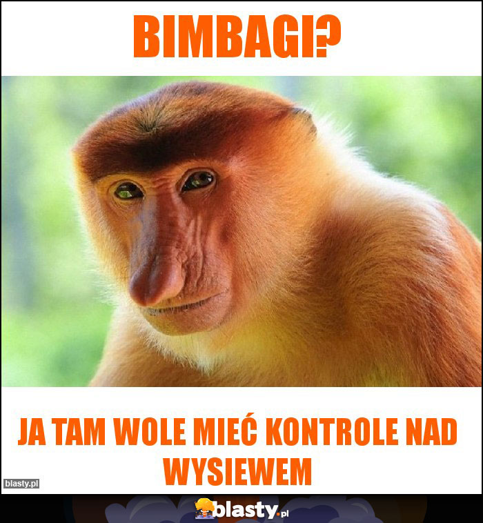 bimbagi?