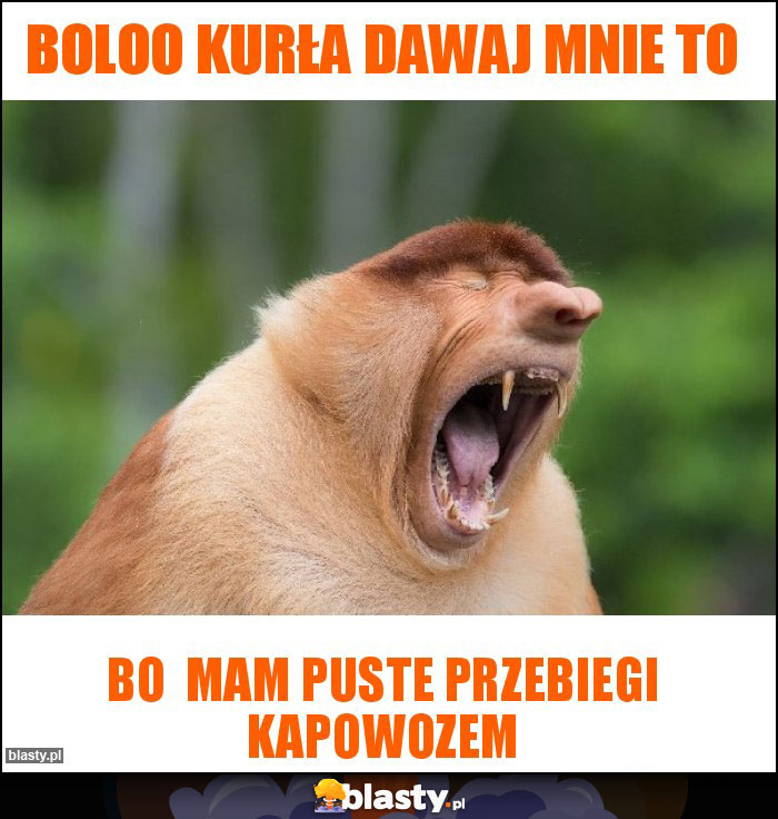 boloo kurła dawaj mnie to