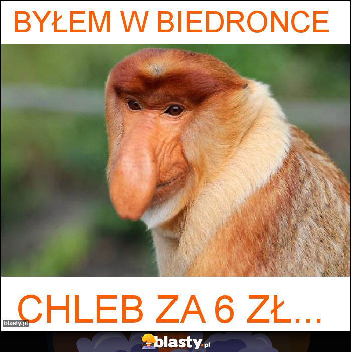 Byłem W Biedronce