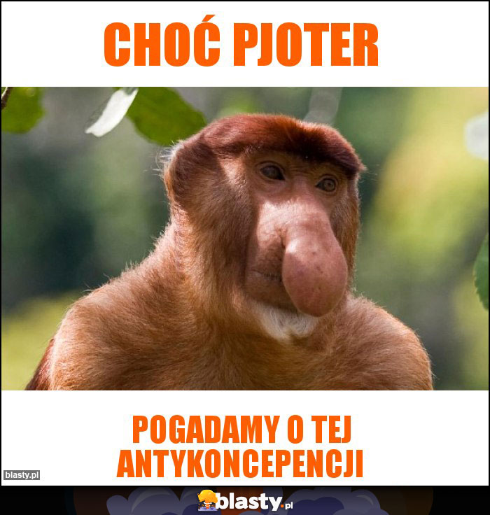 Choć pjoter