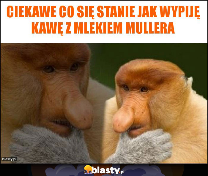 Ciekawe co się stanie jak wypiję kawę z mlekiem Mullera