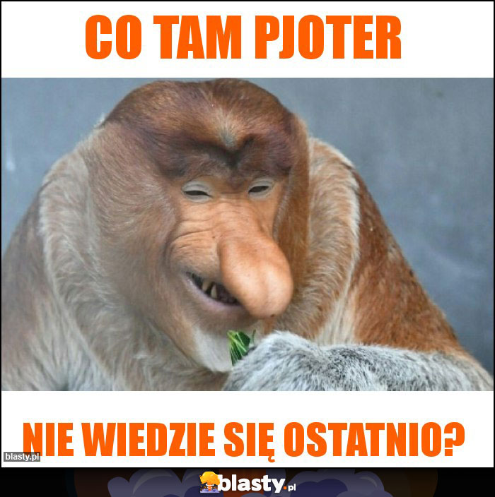 Co tam Pjoter