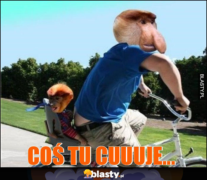 Coś tu cuuuje...